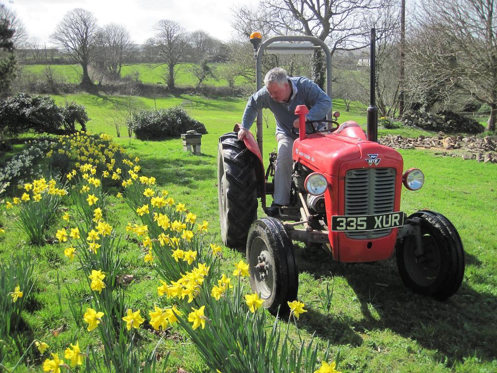 Bed and breakfast Little Pengelly Farm 4*